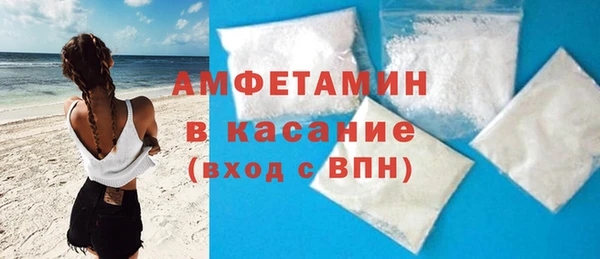 шишки Осинники