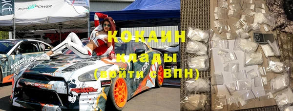 шишки Осинники