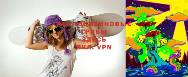 первитин Алексин
